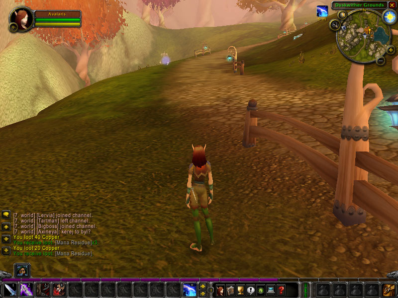 WoWScrnShot_061808_180309.jpg