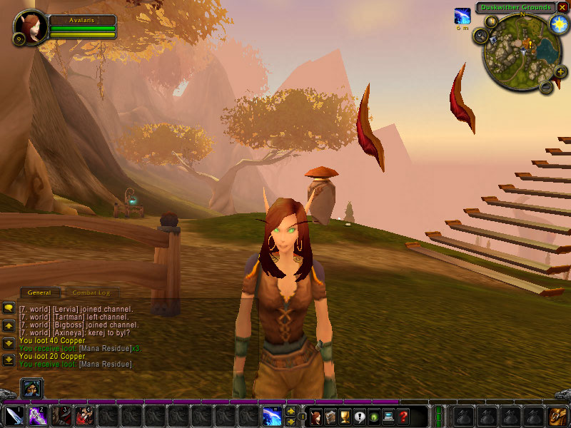 WoWScrnShot_061808_180314.jpg