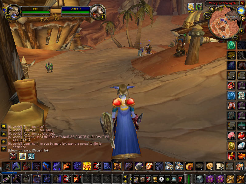 WoWScrnShot_062208_141821.jpg
